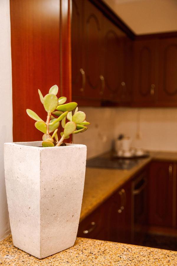 Oasis Zante Apartment Dış mekan fotoğraf
